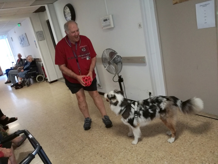 Visite de Nexie la petite chienne Berger-Australien