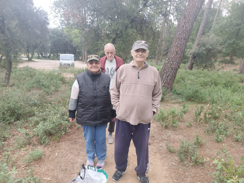 sortie champignons jeudi 13 octobre 2022