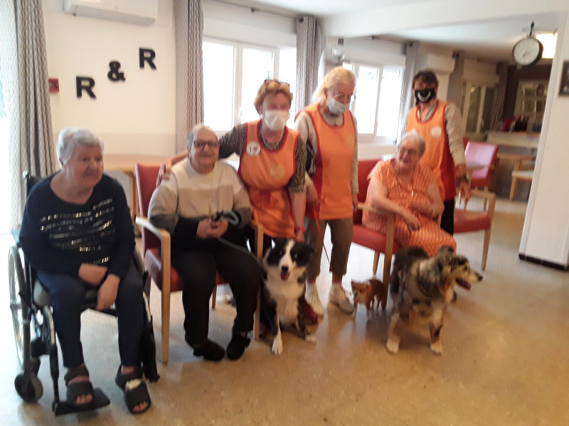 05 octobre les Chiens visiteurs