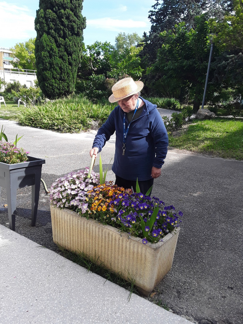 mercredi 26 mai 2021 Un peu de jardinage