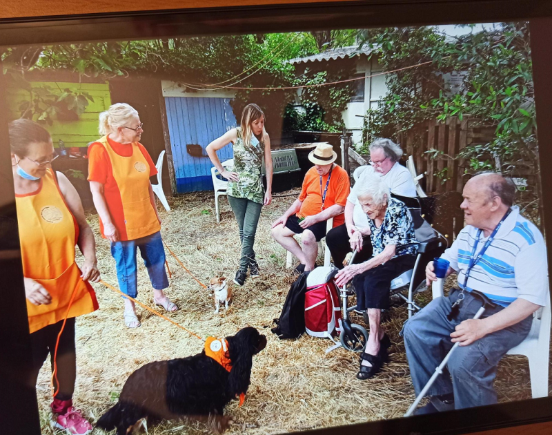 Vendredi 25 juin 2021 Chiens Visiteurs