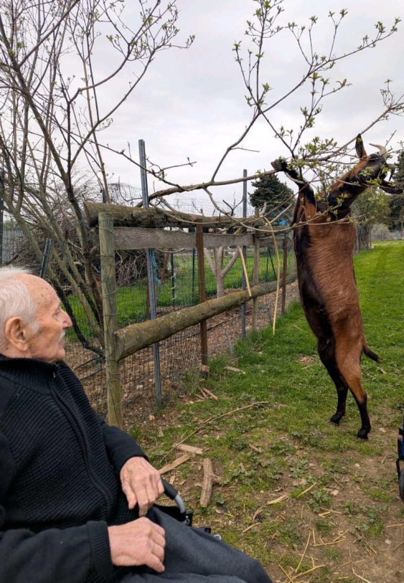 actualité EHPAD SEDNA
