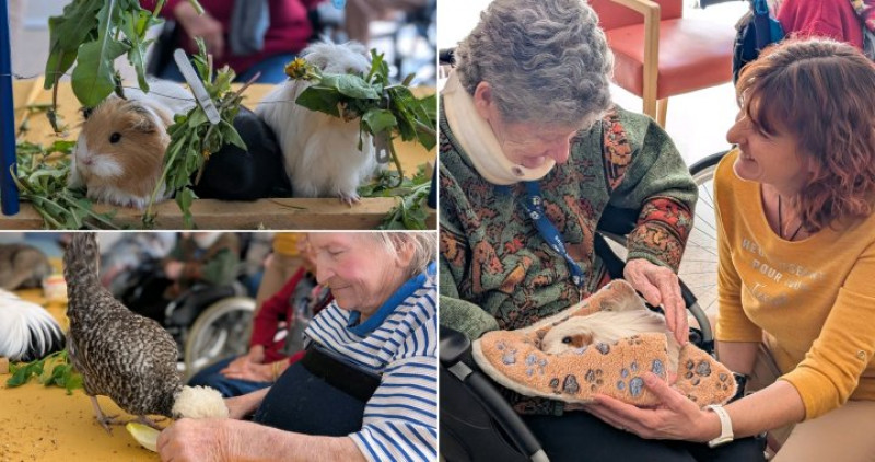 résidence médicalisée SEDNA France