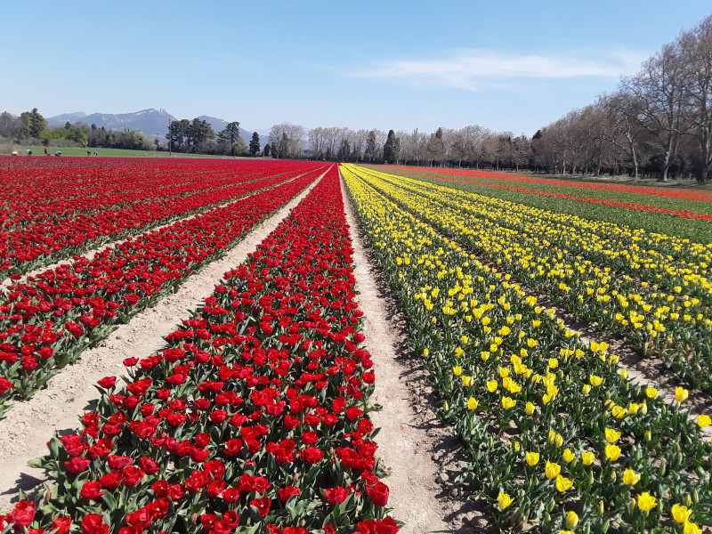 Sortie en provence