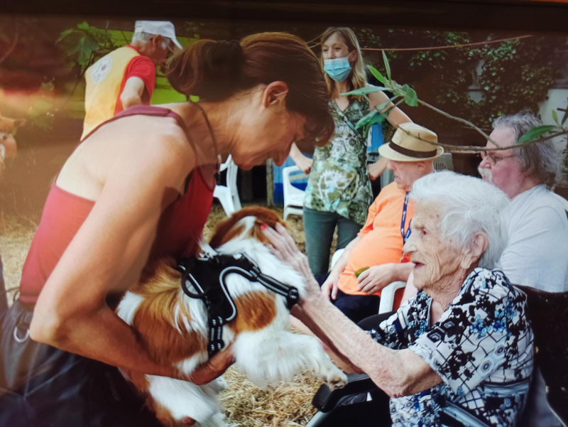 Vendredi 25 juin 2021 Chiens Visiteurs